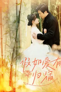 假如爱有归宿海报图片