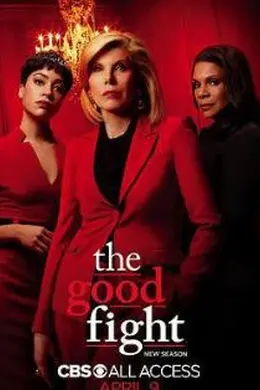 傲骨之战 第四季封面图