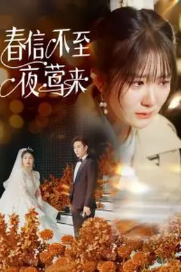 春信不至夜莺来海报图片