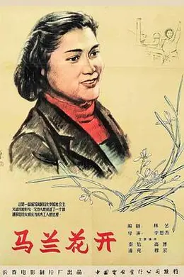 马兰花开封面图