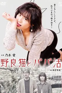 野猫少女海报图片
