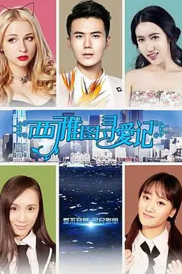 西雅图寻爱记封面图