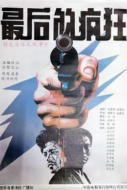 最后的疯狂封面图