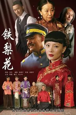 铁梨花封面图