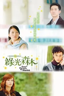 绿光森林封面图