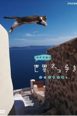 岩合光昭的猫步走世界封面图
