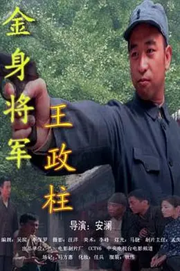 金身将军王政柱封面图