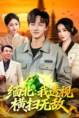 缅北：我透视横扫无敌封面图