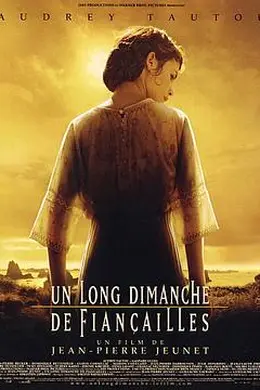 漫长的婚约封面图