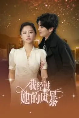 我经过她的风暴海报图片