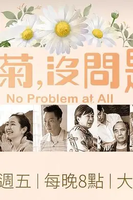 冬菊，没问题封面图