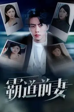 霸道前妻海报图片