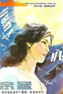 亲缘海报图片
