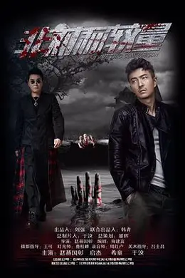 非对称较量封面图