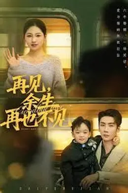 再见余生再也不见海报图片