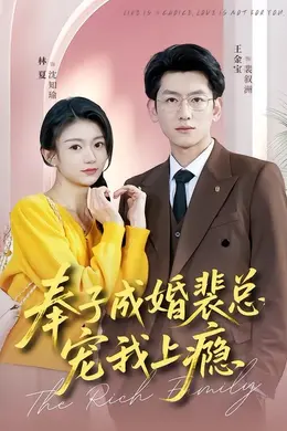 奉子成婚裴总宠我上封面图