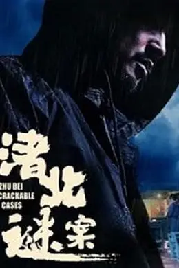 渚北谜案封面图