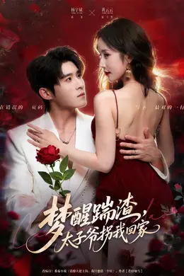 梦醒踹渣，太子爷拐我回家封面图