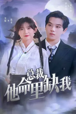 总裁他命里缺我海报图片