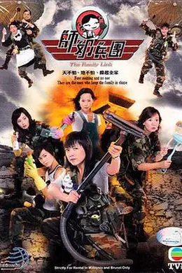 师奶兵团国语封面图