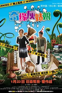 奇缘灰姑娘封面图