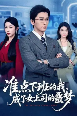 准点下班的我，成了女上司的噩梦海报图片