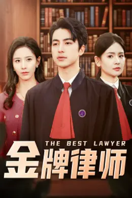 金牌律师封面图