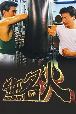 无名火粤语封面图