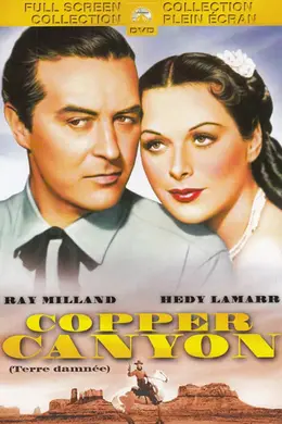 坎农铜矿封面图