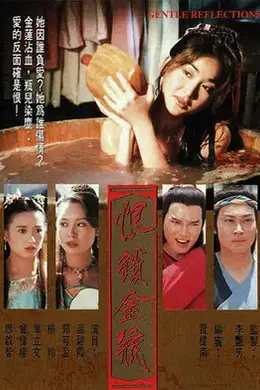 恨锁金瓶封面图