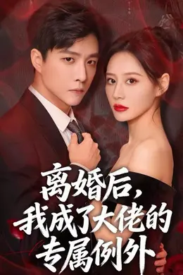 离婚后，我成了大佬的专属例外海报图片