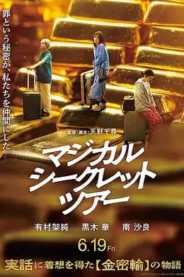 奇幻秘密之旅封面图