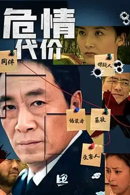 危情代价封面图