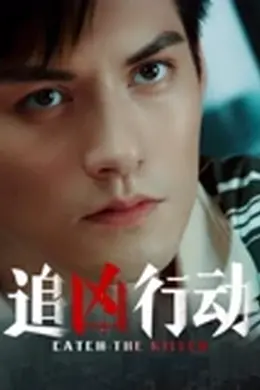 追凶行动2026封面图