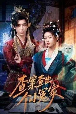 查案查出个小冤家海报图片