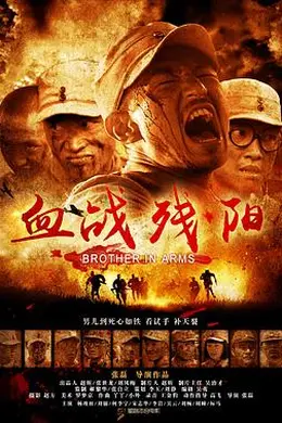 血战残阳封面图