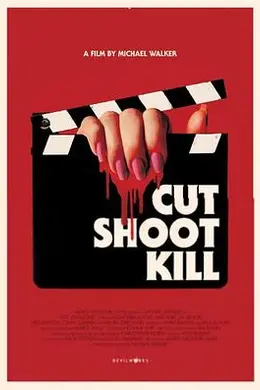 拍完就杀人封面图