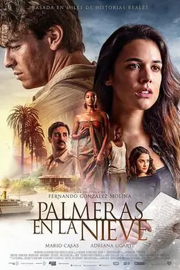 雪中的棕榈树封面图