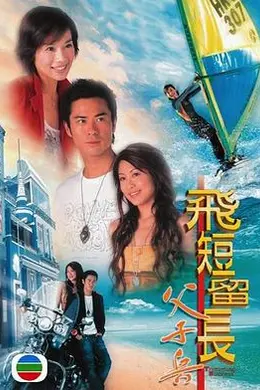 飞短留长父子兵封面图