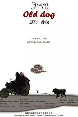 老狗封面图