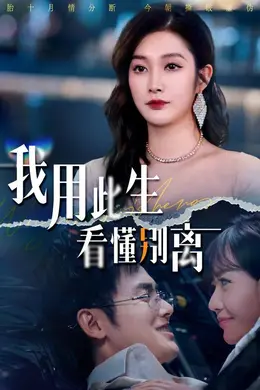 我用此生看懂别离海报图片