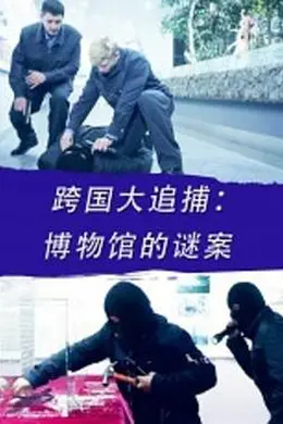 跨国大追捕：博物馆的谜案封面图