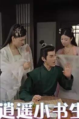 逍遥小书生海报图片