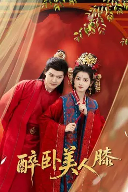 醉卧美人膝封面图