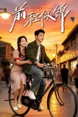 前程似锦（年华似锦）封面图