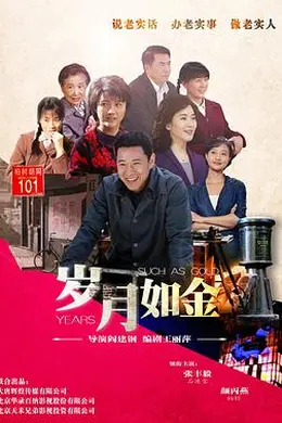 岁月如金封面图