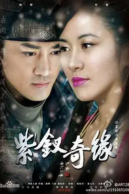 紫钗奇缘封面图