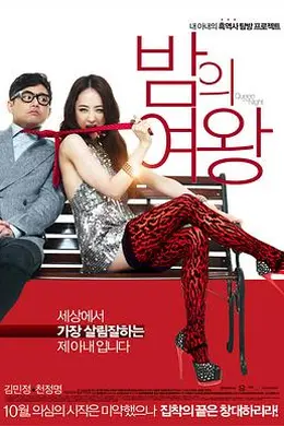 夜之女王封面图