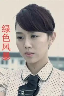 绿色风暴封面图