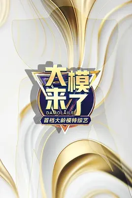 大模来了海报图片